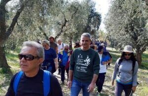 Viaggio attorno all’olio, camminata tra gli ulivi a Carpino