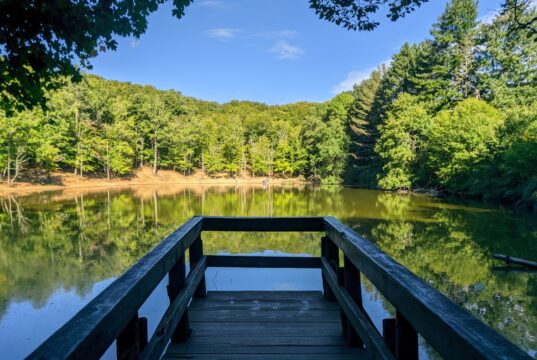 Viaggio in Capitanata: la Foresta Umbra