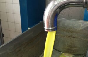“Mastro oleario”, formazione e Albo regionale