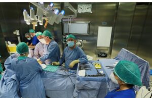 Due lembi muscolo-cutanei dell’addome utilizzati in Casa Sollievo per ricostruire il seno