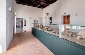 Ponte di Ognissanti a Vieste riaprono il Museo Civico-Archeologico e la Necropoli della Salata
