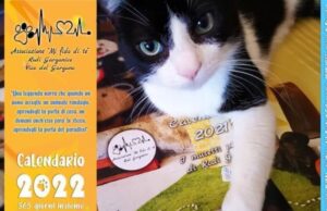 Ecco il calendario solidale “Cani e gatti” 2022