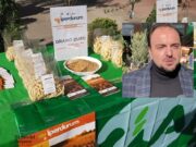 Iperdurum, nasce dalla ricerca il super-grano pugliese