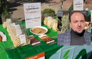 Iperdurum, nasce dalla ricerca il super-grano pugliese
