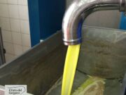 “Serve una svolta per i problemi dell’olivicoltura pugliese”, lo chiedono le organizzazioni di produttori