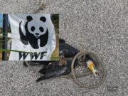 Gargano, WWF: risponderemo alla violenza con iniziative per la tutela del territorio
