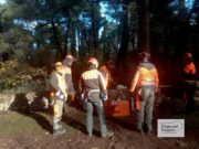 Formazione forestale: al via in Puglia il corso per istruttori di abbattimento e allestimento