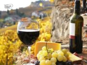 Enoturismo Puglia, via libera agli emendamenti della legge regionale