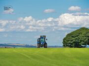 Cia Puglia: “Costi assurdi, San Valentino rischia di essere un funerale per l’agricoltura”