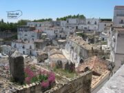 Forte vento sul Gargano, il sindaco di Monte Sant’Angelo: “Uscite solo se necessario”