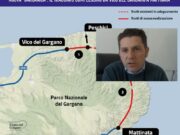 È polemica tra il WWF e il sindaco di Vieste, “Nobiletti è in cerca di alibi”