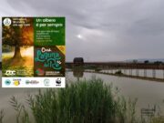 Un albero è per sempre, una giornata di festa presso l’Oasi Laguna del Re