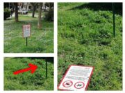 A San Giovanni Rotondo, vandalizzati alcuni cartelli dopo soli tre giorni