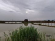Parco del Gargano, contrasto alla pesca di frodo nell’Oasi Laguna del Re