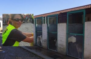 Canile San Giovanni Rotondo, la volontaria Maratea: «Situazione difficile, serve sinergia»