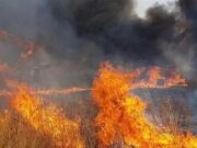 Incendio a Baia della Zagare, evacuate 80 persone, in fumo venti ettari di macchia mediterranea
