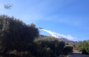 Incendio a San Giovanni Rotondo, in fiamme ettari di macchia mediterranea