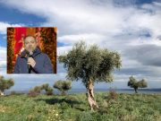 Vico del Gargano, appello del sindaco Sciscio: “Le potenzialità risiedono ancora nell’agricoltura”