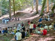 Ultimi due appuntamenti “Suoni d’Umbra”, tra alberi e arbusti della Foresta Umbra