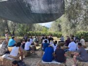 Vieste, partita “La Settimana dell’Olio”: identità e innovazione