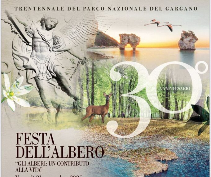 Festa dell'Albero