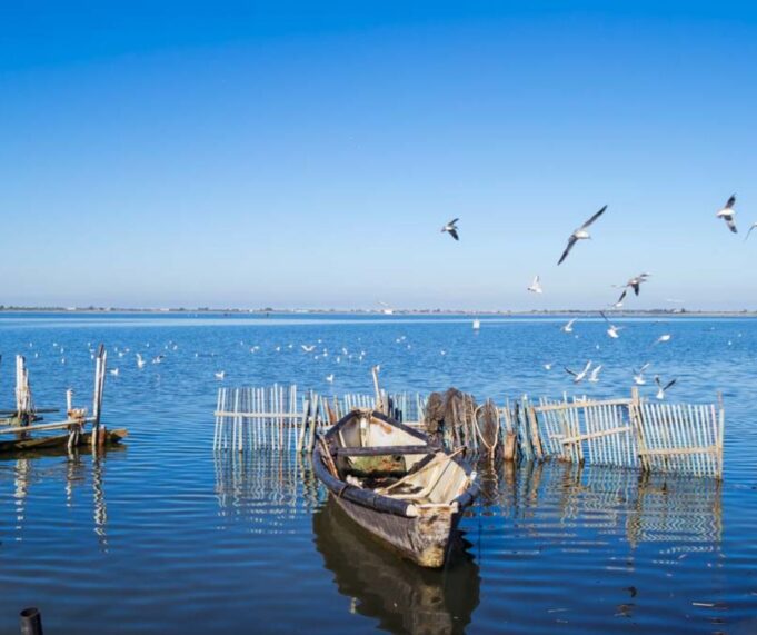 lesina