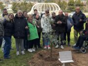 A San Giovanni Rotondo un simbolo di cura e comunità: un albero per la salute mentale