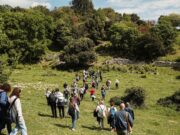 Orchidays 2026: Mattinata capitale delle orchidee spontanee