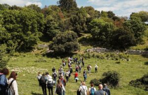 Orchidays 2026: Mattinata capitale delle orchidee spontanee