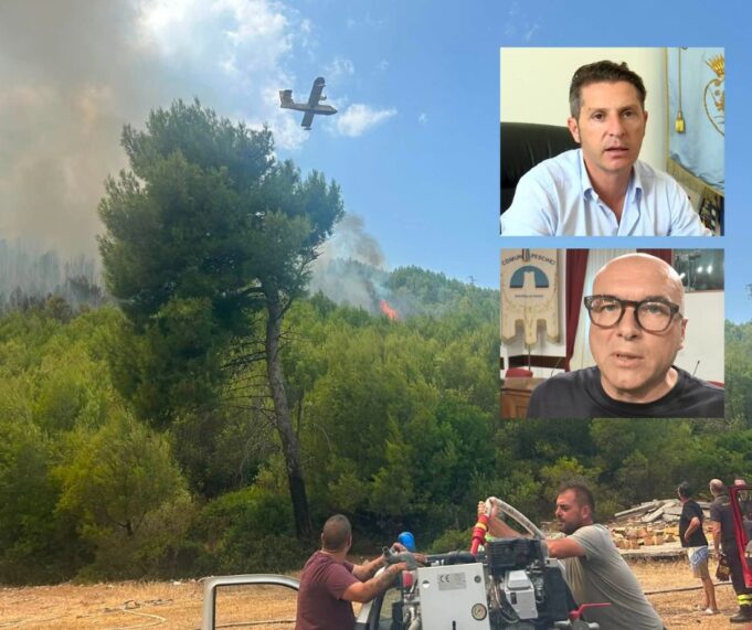 Incendio Gargano luglio 2026