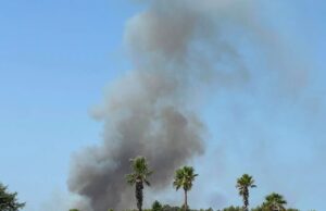 Giornata difficile per il Gargano, fiamme tra Peschici e Vieste