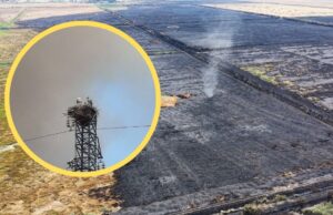 Oasi Lago Salso, ambientalisti all’attacco: «Non c’è più tempo, servono interventi immediati»
