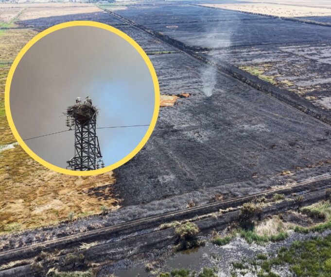 Oasi lago Salso incendio
