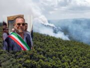 Incendi e polemiche sul Gargano: scontro tra il sindaco di Vico del Gargano e gli ambientalisti