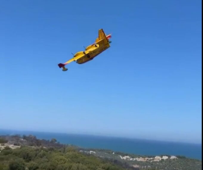 incendio Vieste luglio 2026
