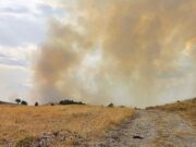 Giornata di incendi sul Gargano, fiamme a San Giovanni Rotondo e Monte Sant’Angelo