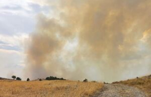 Giornata di incendi sul Gargano, fiamme a San Giovanni Rotondo e Monte Sant’Angelo