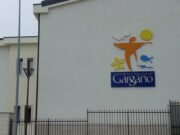 Tar di Bari, il ministero dovrà decidere sulla nomina di D’Errico al Parco del Gargano