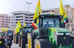 Agricoltura, dalla Regione Puglia 30 milioni di euro per sostenere le imprese e rafforzare le filiere