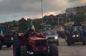 Caro gasolio e crisi dell’olio, anche gli agricoltori del Gargano chiedono risposte